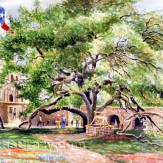 Alamo History Tree art print Jane Mauldin