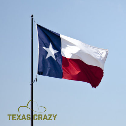 Large 12 x 18 Foot Texas Flag Commercial deluxe 2 ply poly