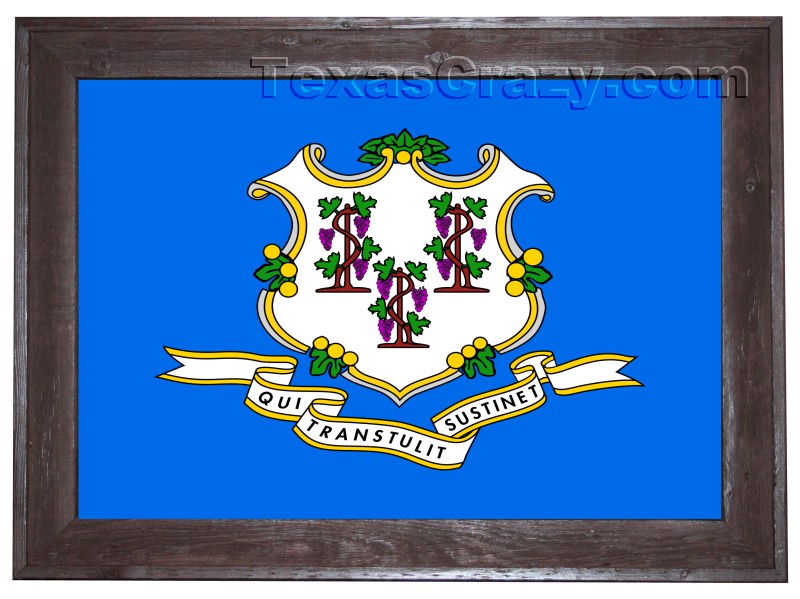 Connecticut State USA Large Flag 5' x 3' 