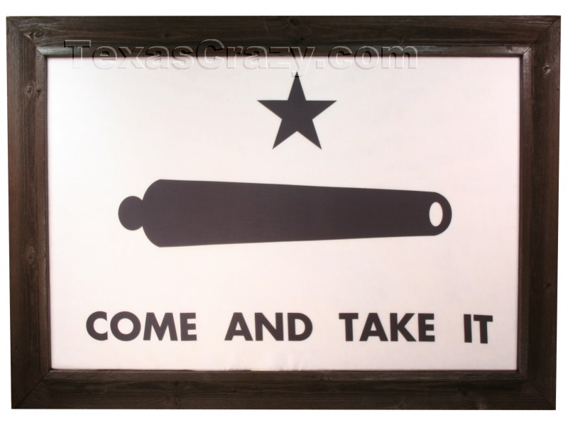 Come And Take It Flag Framed