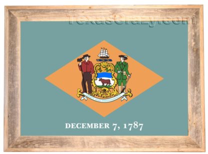 Delaware State Flag Framed in Light Barnwood