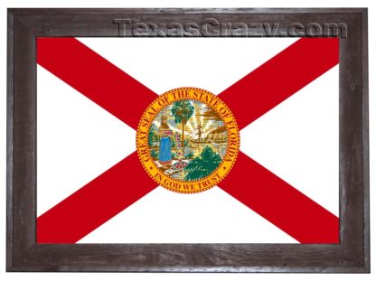 florida flag framed dark f