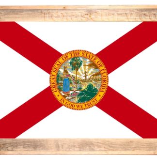 Florida State Flag Framed in Light Barnwood