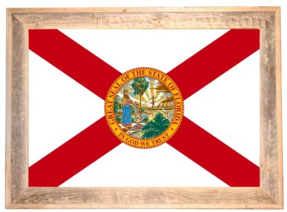 Florida State Flag Framed in Light Barnwood