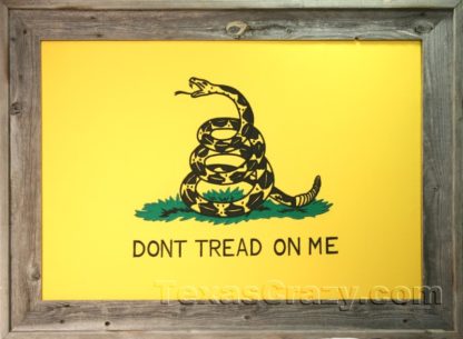 gadsden flag framed