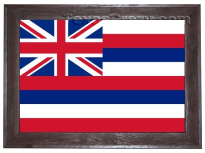 hawaii flag framed dark f