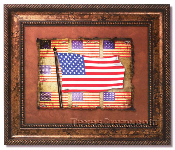 Framed Historical USA Flags