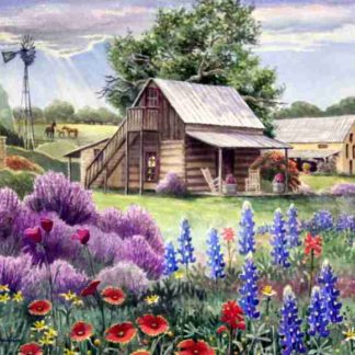 Texas Wildflowers Art