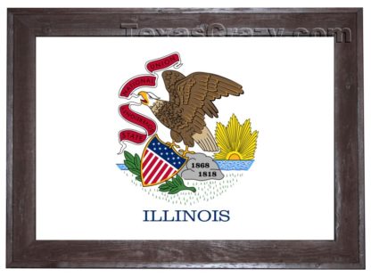 illinois flag framed dark f