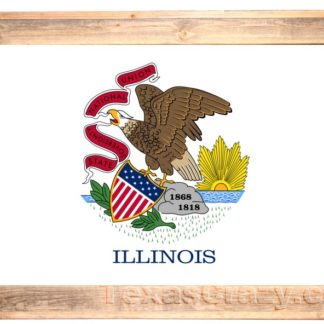 Texas Crazy | 2 X 3 Illinois State Flag Framed Texas Crazy | 2 X 3 Illinois State Flag Framed