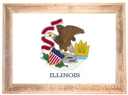 Illinois State Flag Framed in Light Barnwood