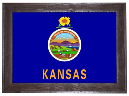 kansas flag framed dark f