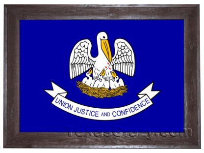 louisiana flag framed dark f