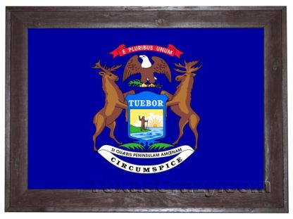 2 X 3 Michigan State Flag Framed - Image 2