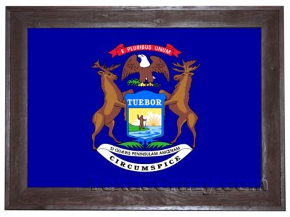 michigan flag framed dark f