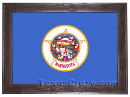 2 X 3 Minnesota State Flag Framed - Image 2