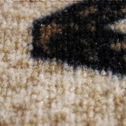 Texas area accent rugs closeup