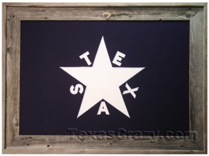First Republic of Texas framed flag