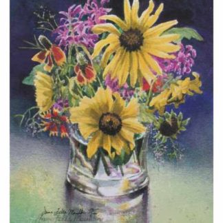 Sunflower Wildflowers Jane Mauldin