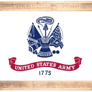 Custom Framed US Army Flag