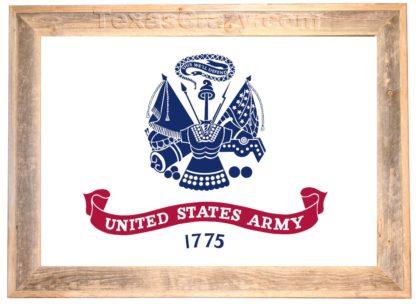 Custom Framed US Army Flag