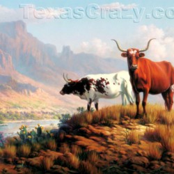 Texas Crazy | West Texas Royalty Longhorn Art