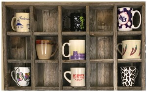 Texas Crazy | Reclaimed Wood Music CD Storage Cubbies
