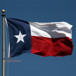 Extra Large Commercial Texas flag 2 ply sewn poly