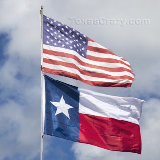 Texas Outdoor Flags
