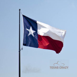 texas flag 6 x 10 foot commercial poly